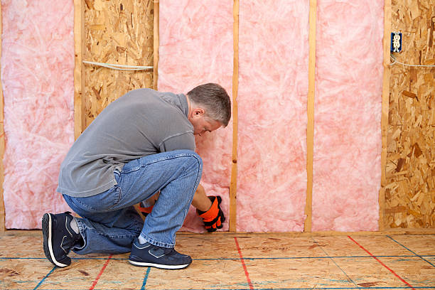 Best Residential Insulation in Kennesaw, GA