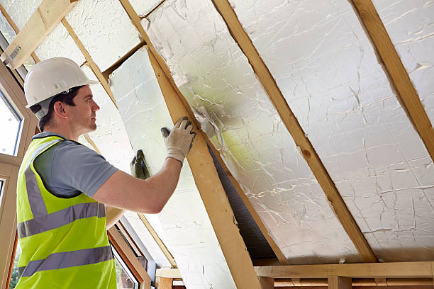 Best Insulation Maintenance and Repair in Kennesaw, GA
